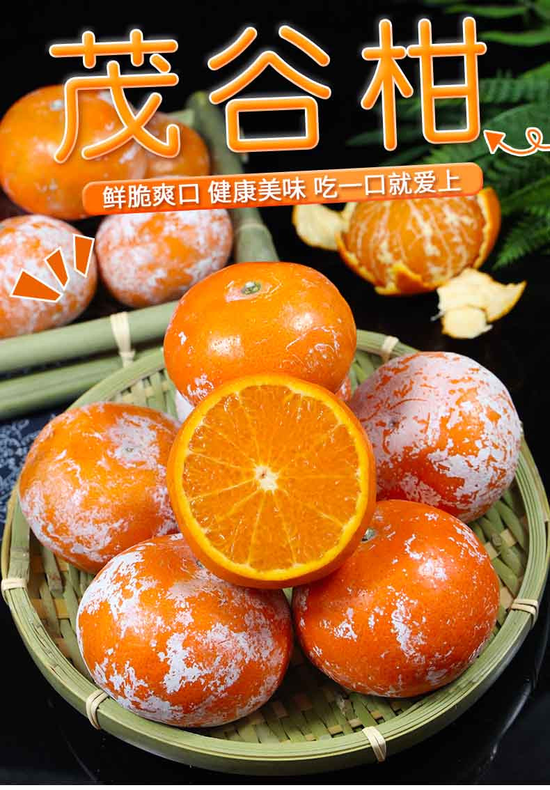 广西茂谷柑 甘甜橘子 【单果70-75mm】