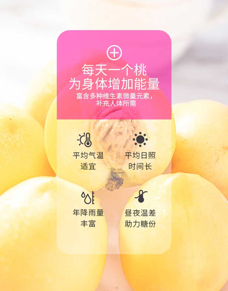 黄金油桃【发顺丰】 现货桃子新鲜脆桃蜜桃黄金桃