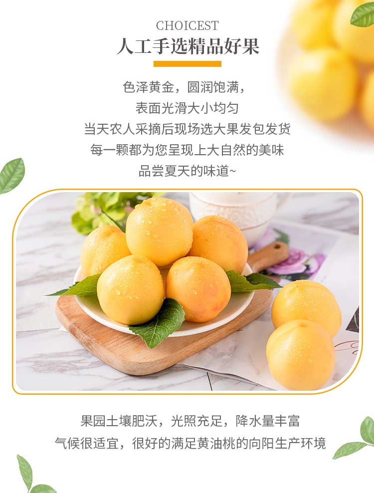 黄金油桃【发顺丰】 现货桃子新鲜脆桃蜜桃黄金桃