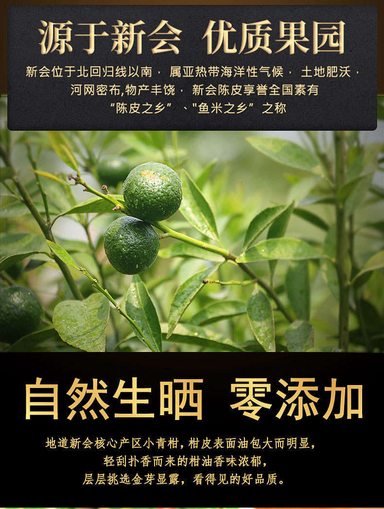 【精美礼盒包装】茶叶 小青柑250克 500克木桶装 柑普茶 普洱茶 陈皮普洱熟茶