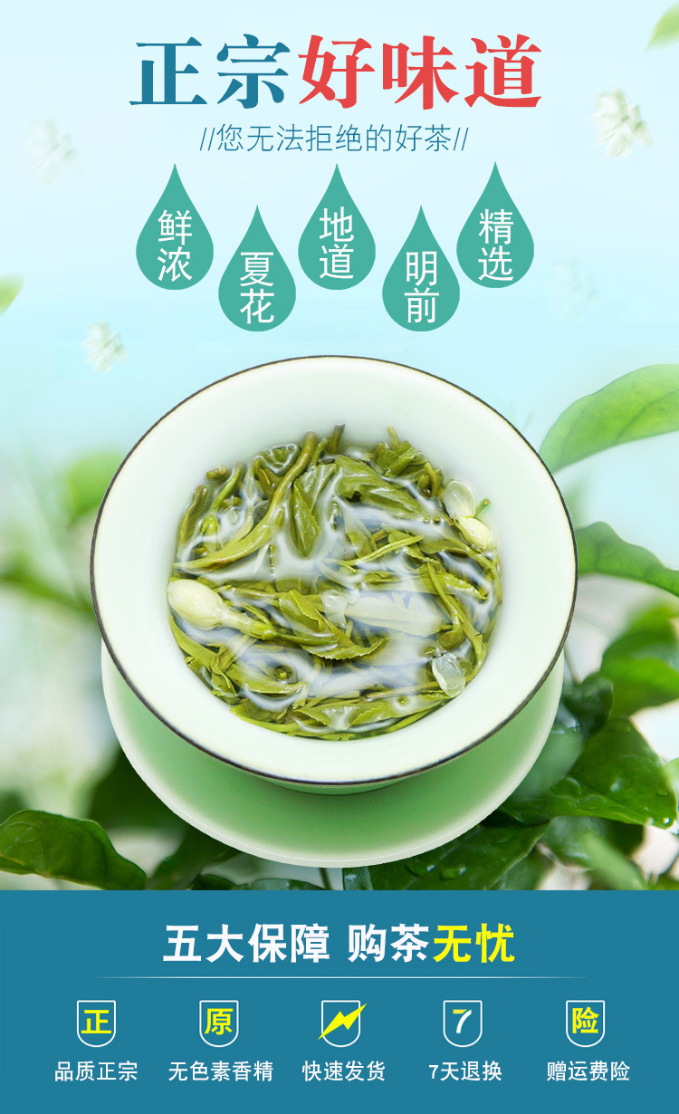 【广西横县特产】茉莉花茶毛尖新茶浓香型毛尖茶叶绿茶广西横县茉莉花茶叶