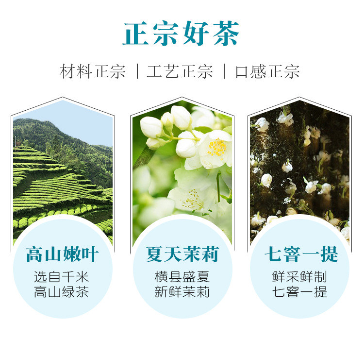 【广西横县特产】茉莉花茶毛尖新茶浓香型毛尖茶叶绿茶广西横县茉莉花茶叶