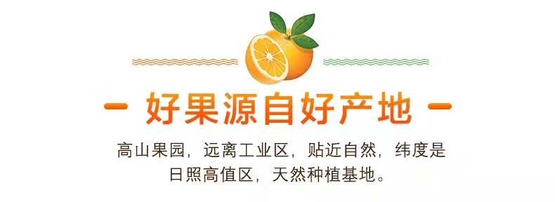 佳怡康 四川春见耙耙柑 新鲜特大果丑橘子【单果80mm以上】