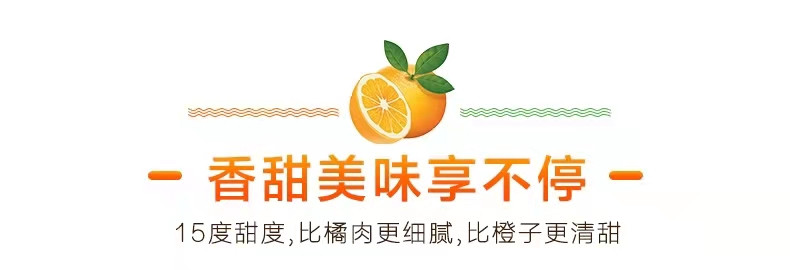 佳怡康 四川春见耙耙柑 新鲜特大果丑橘子【单果80mm以上】