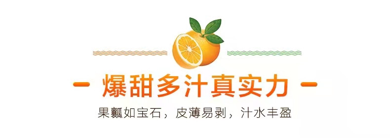 佳怡康 四川春见耙耙柑 新鲜特大果丑橘子【单果80mm以上】