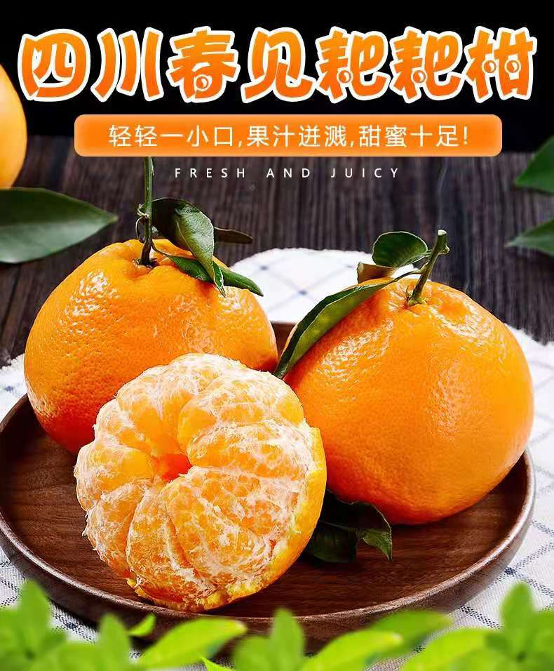 佳怡康 四川春见耙耙柑 新鲜特大果丑橘子【单果80mm以上】