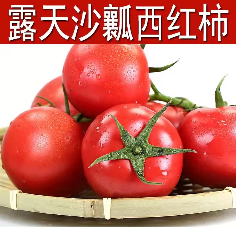 佳怡康 四川攀枝花沙瓤西红柿【单果150g以上】