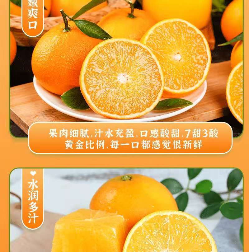 荷馨四季 湖北秭归  九月红果冻脐橙【单果70-75mm】