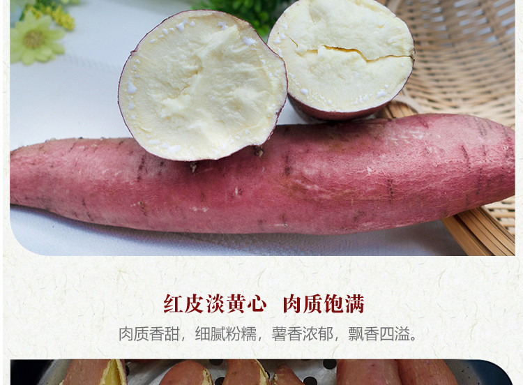 荷馨四季 陕西板栗红薯