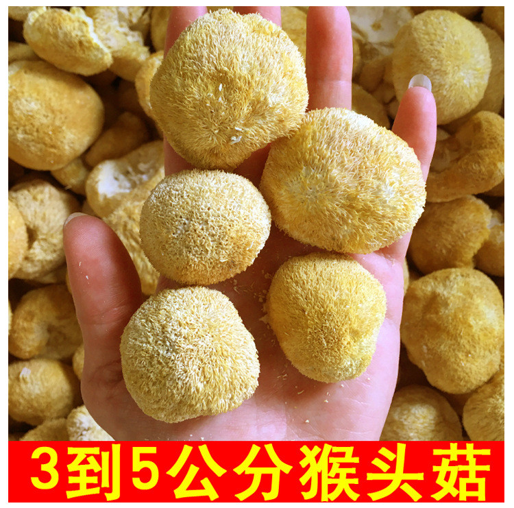 冠辉 福建古田特产 猴头菇干货 食用菌菇