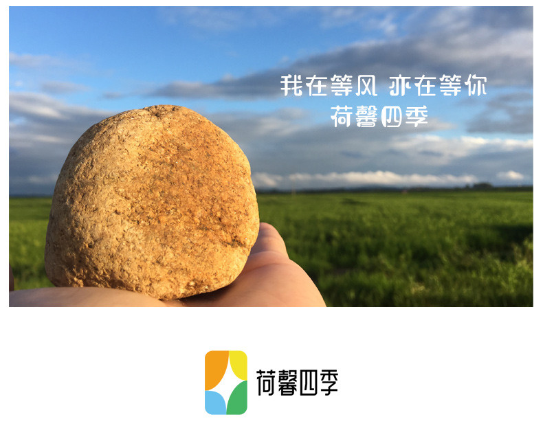 荷馨四季 东北燕麦米【邮政快递】500g*3包 杂粮价值高