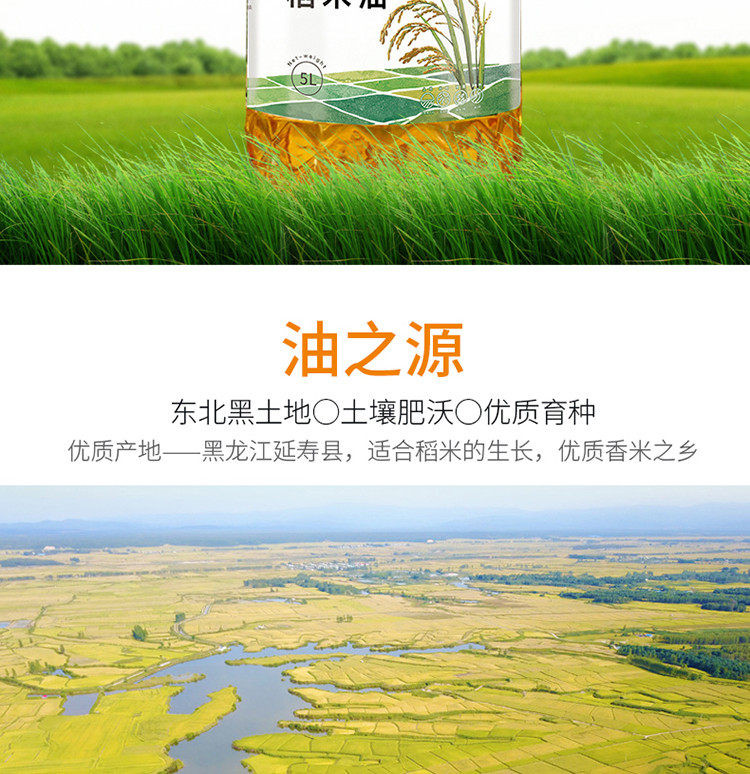 荷馨四季 东北大米浸出工艺 稻米油食用油5升 【邮政快递】约9.4斤