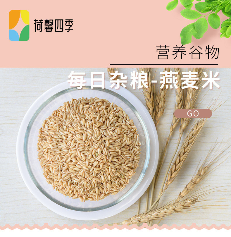 荷馨四季 东北燕麦米【邮政快递】500g*3包 杂粮价值高