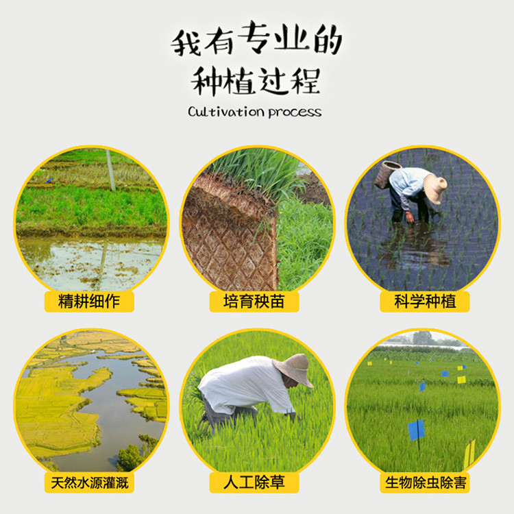 荷馨四季 产地直发 东北延寿稻花香10斤  【邮政快递】