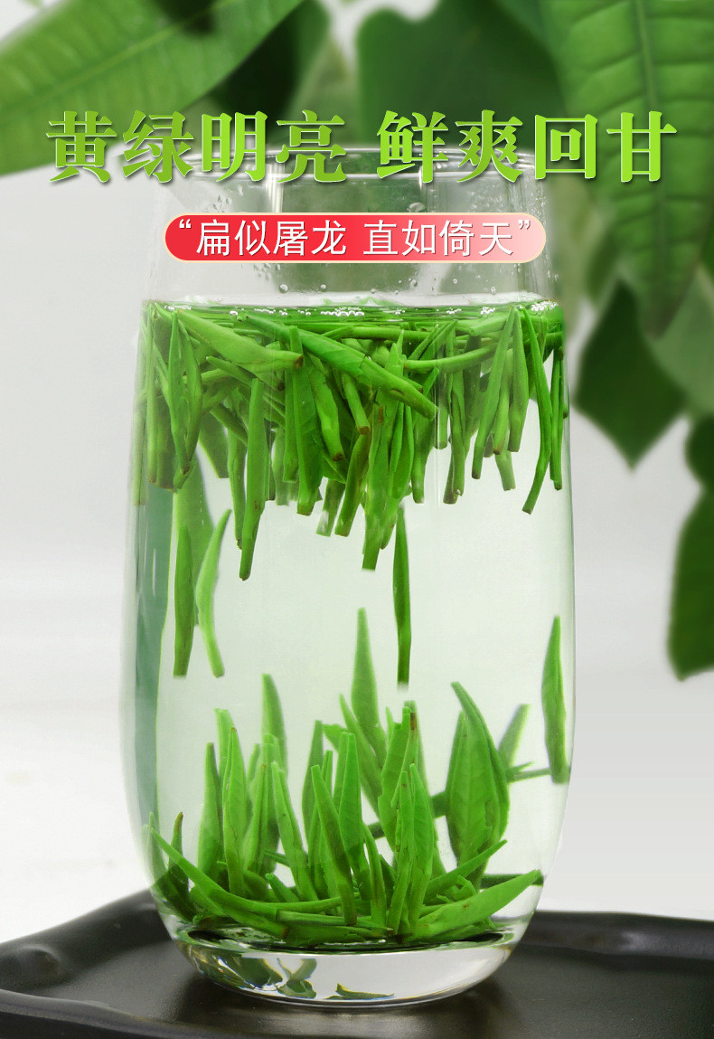 天王 雀舌毛尖嫩芽绿茶 浓香型罐装100g