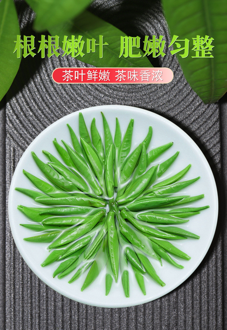 天王 雀舌毛尖嫩芽绿茶 浓香型罐装100g