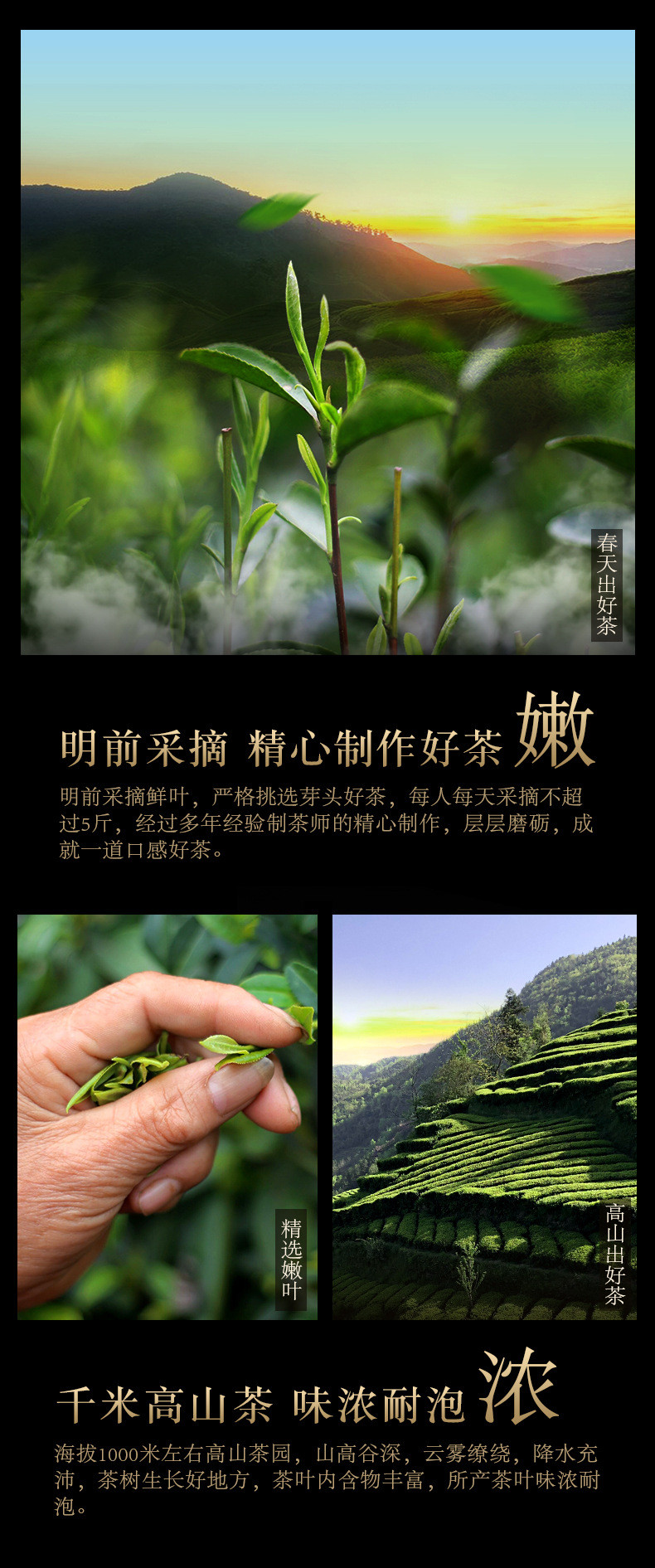 天王 武夷山金骏眉红茶 浓香型红茶 250g