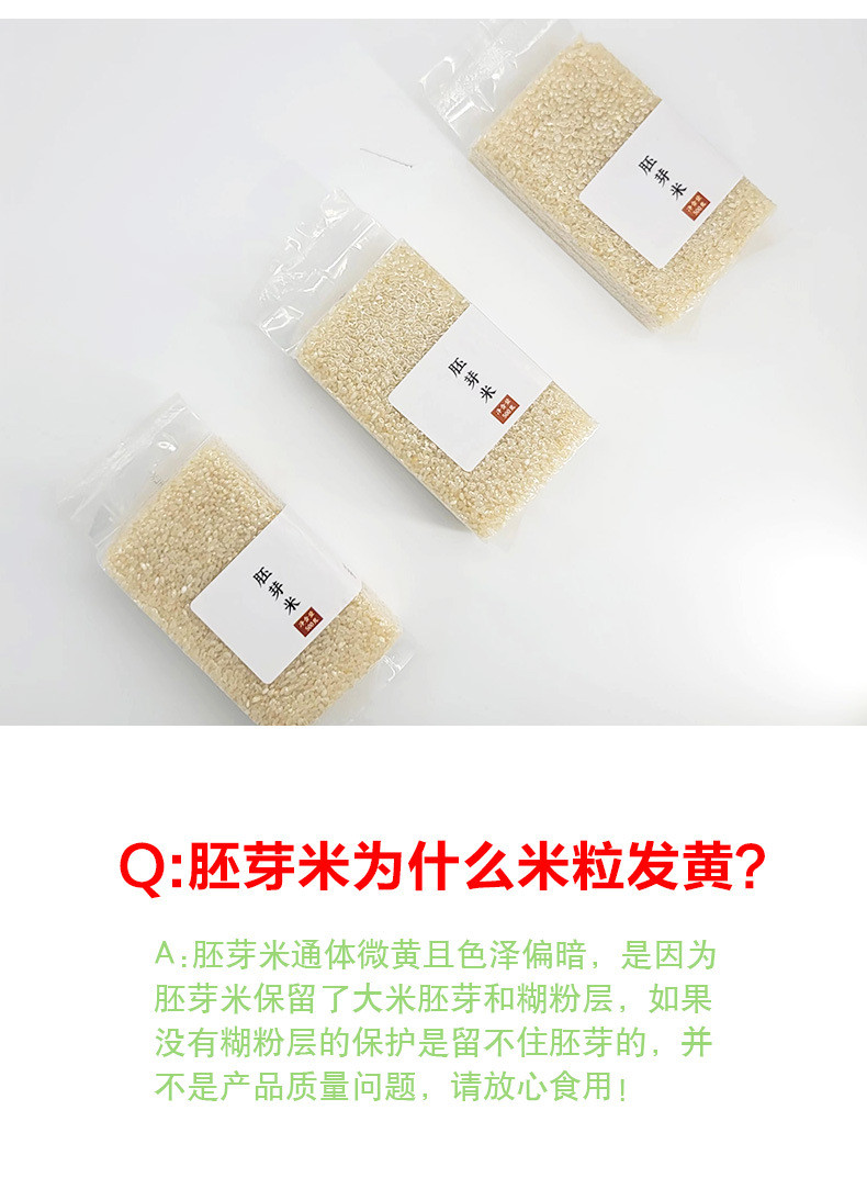 鹤来香 大米鲜胚芽米500g 真空包装大米胚芽粳米谷物米