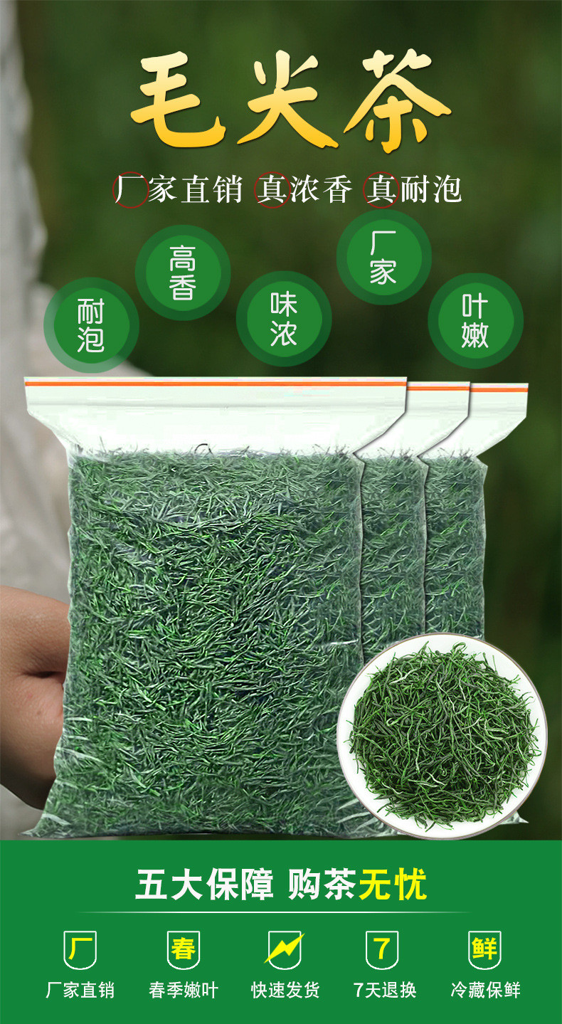 天王  新茶直条毛尖茶500g 明前云雾绿茶