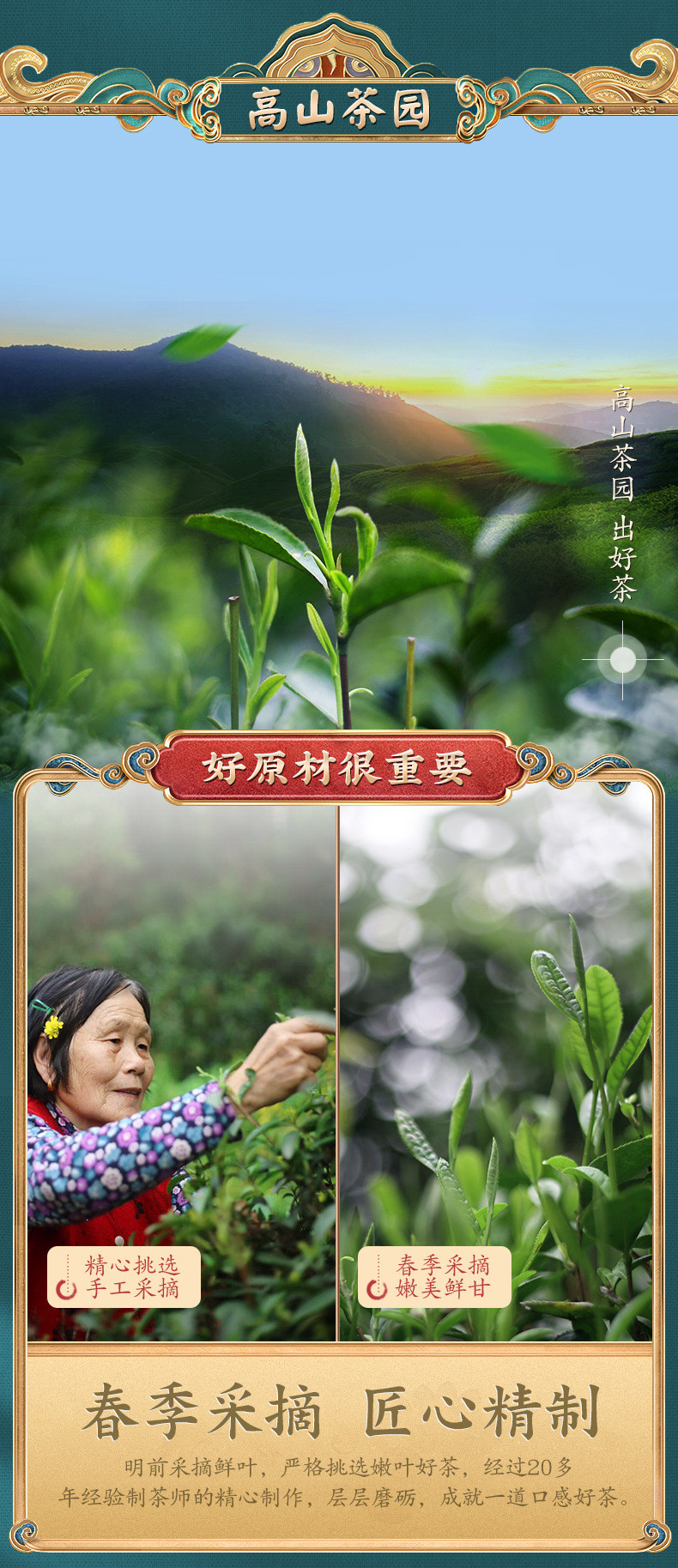 天王 2024新茶云南滇红大金针金芽蜜香浓香型古树红茶