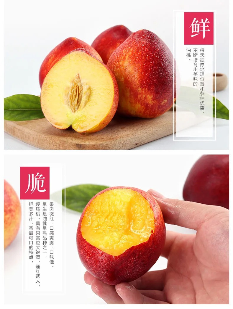 荷馨四季 大连特产 红皮黄肉油桃