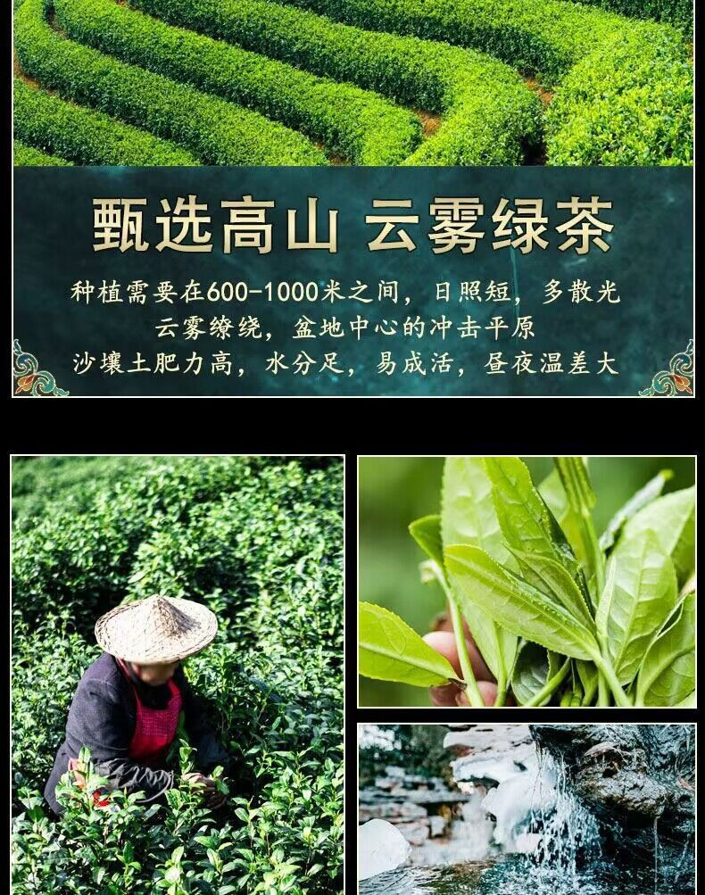 天王 茉莉花茶 茶叶浓香耐泡型花草茶玻璃罐礼盒装