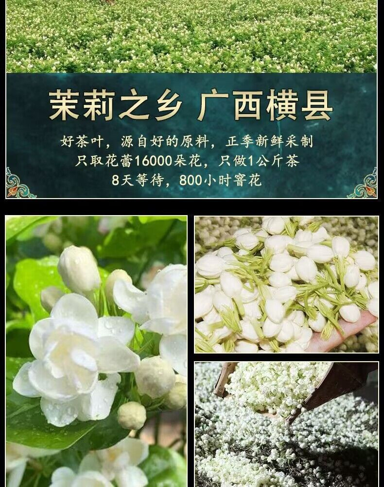 天王 茉莉花茶 茶叶浓香耐泡型花草茶玻璃罐礼盒装