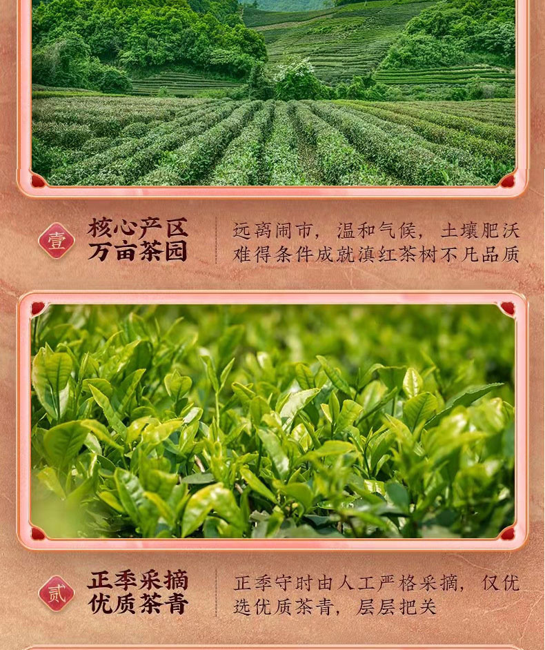 石草池 滇红茶云南古树红茶 蜜香凤庆滇红300克茶具礼盒装