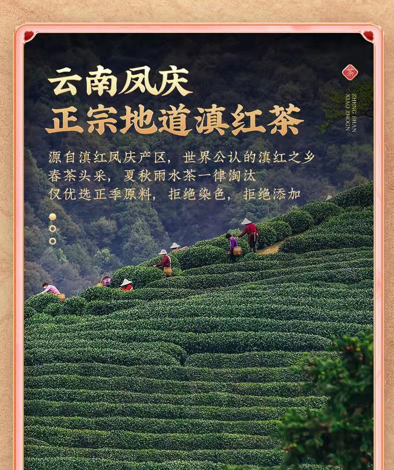 石草池 滇红茶云南古树红茶 蜜香凤庆滇红300克茶具礼盒装