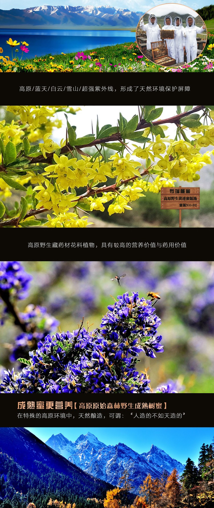 布瑞藏蜜 林芝特产 布瑞藏蜜 野生百花蜂蜜500g 500g