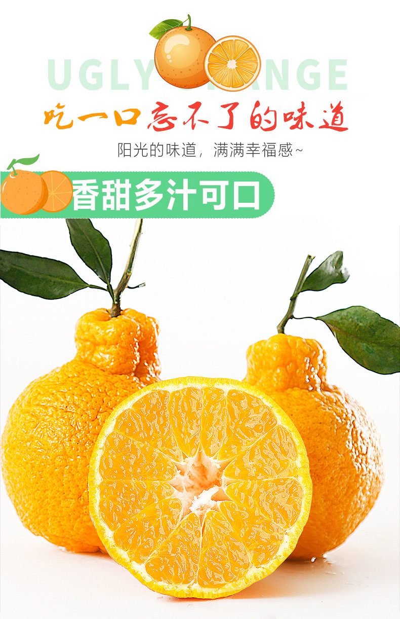 丑橘图片海报图片