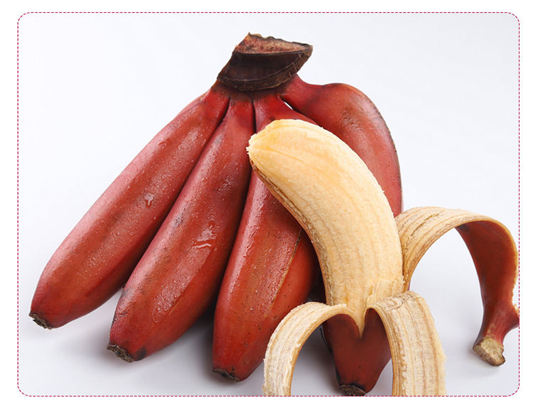 【今日特惠】福建土楼美人蕉红香蕉新鲜水果红皮香蕉批发小米蕉