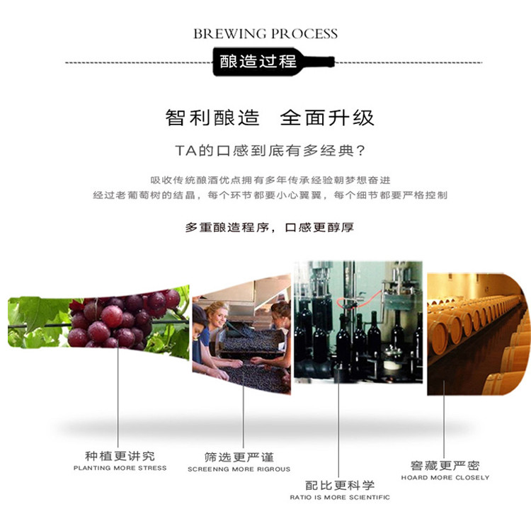 【智利原瓶进口葡萄酒】杰西斯·赤霞珠干红葡萄酒 约会送礼聚会佳酿 750ml*1