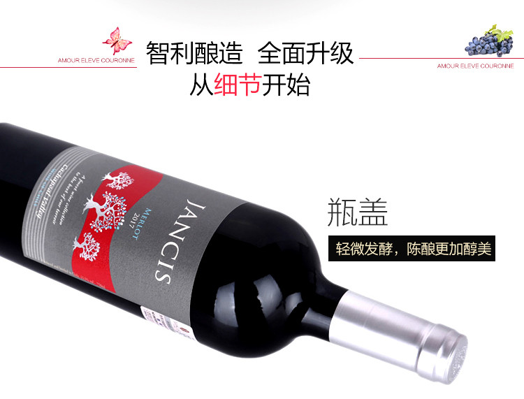 【智利原瓶进口】杰西斯·美乐干红葡萄酒 750ml 单支装