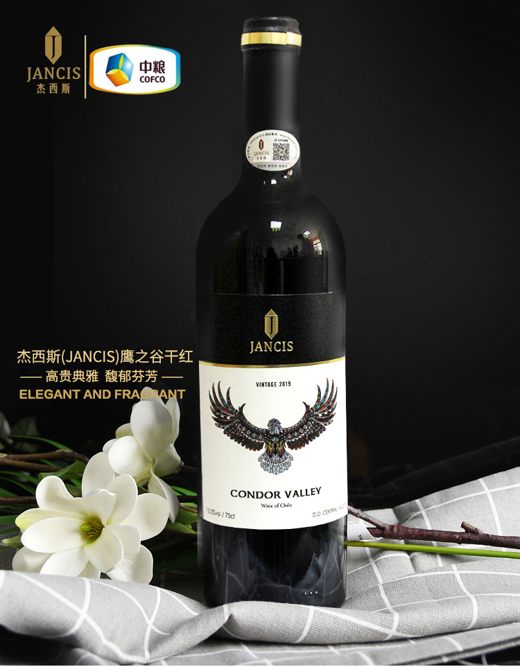 【智利原瓶进口】杰西斯鹰之谷干红葡萄酒 聚会宴会送礼佳品750ml *6【赠送红酒刀】