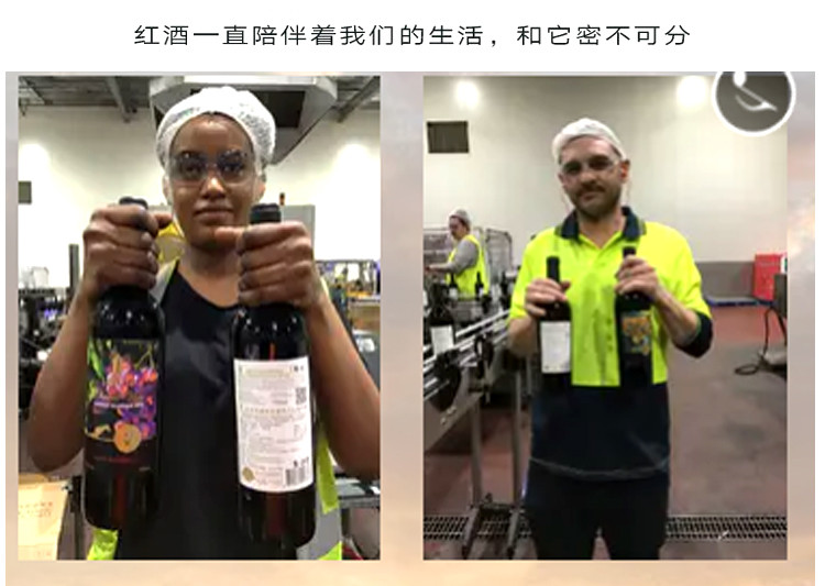 【智利原瓶进口】杰西斯·1836经典珍藏级赤霞珠干红葡萄酒750ml 单支装