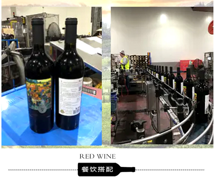 【智利原瓶进口】杰西斯·1836经典珍藏级赤霞珠干红葡萄酒750ml 单支装