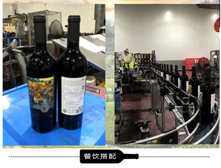 【智利原瓶进口葡萄酒】杰西斯·金杉私人珍藏佳美娜干红葡萄酒 750ml单瓶装