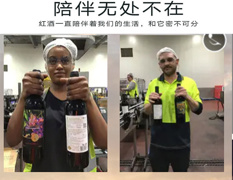 【智利原瓶进口葡萄酒】杰西斯·银杉珍藏美乐干红葡萄酒 750ml单瓶装