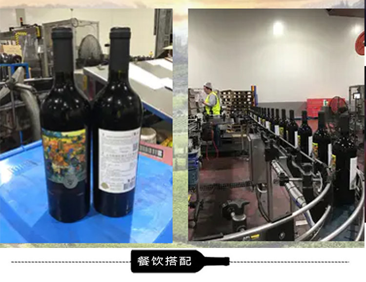 【智利原瓶进口葡萄酒】杰西斯·银杉珍藏美乐干红葡萄酒 750ml单瓶装