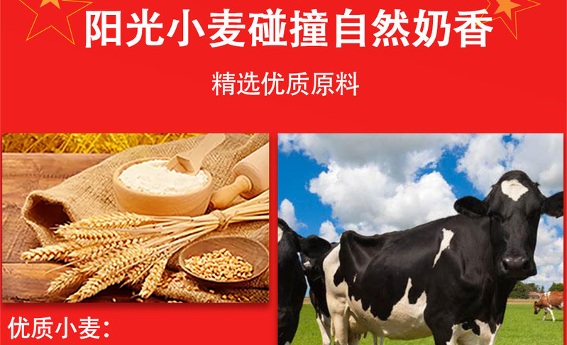 【20袋礼盒】印尼进口Tango威化饼干零食大礼包中秋礼盒装节日年货 芝士牛奶巧克力饼干多口味可选