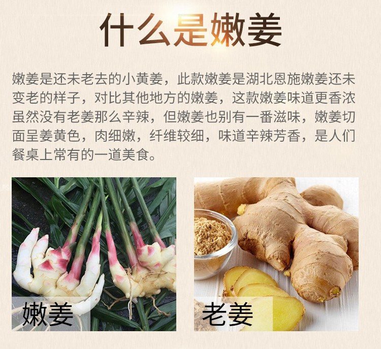 【来凤馆】湖北来凤特产地标产品凤头仔姜王开胃下饭菜腌制泡菜50g*10袋