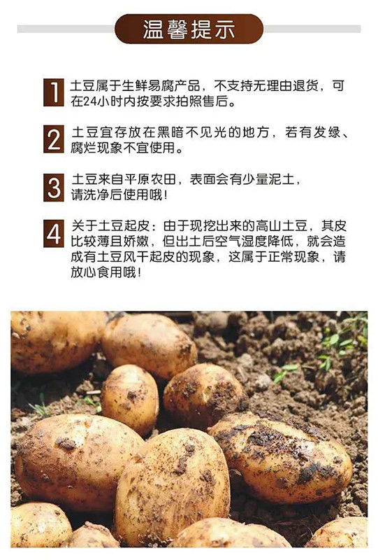 【48小时内发货】现挖现发精品土豆新鲜土豆马铃薯洋芋黄心土豆时令蔬菜批发10/5斤