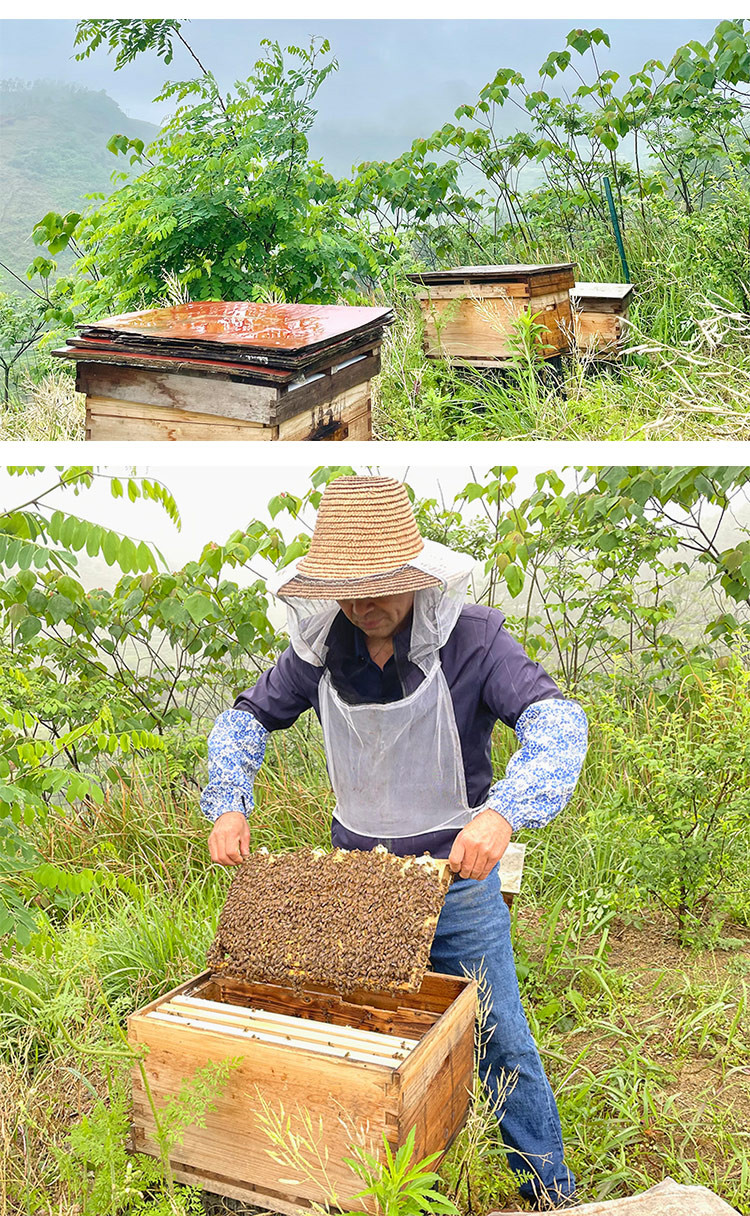 农家自产 邻水包氏蜂蜜春蜜2024年新蜜假一赔十