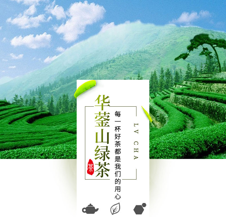 农家自产 【会员享实惠】中国松树下高山绿茶华蓥山绿茶50g