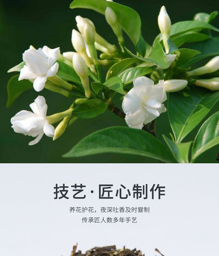 农家自产 【会员享实惠】广安森林雨茉莉花茶100g