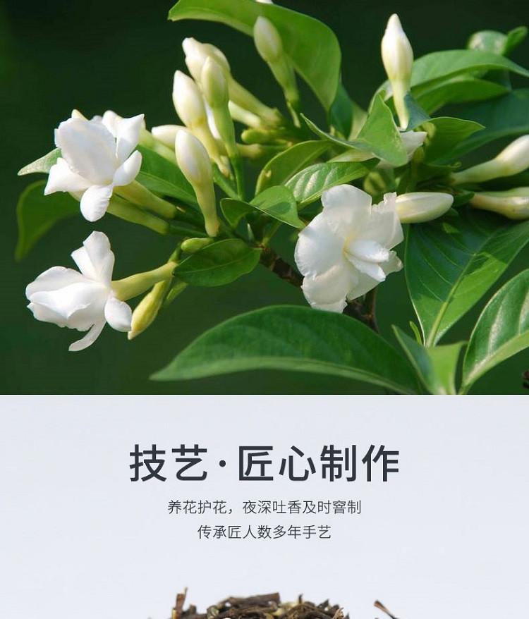 农家自产 广安森林雨茉莉花茶100g