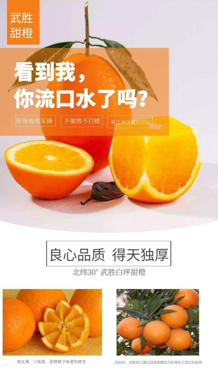 农家自产 广安武胜甜橙3斤/5斤/10斤装 现摘现发坏果包赔（包邮）