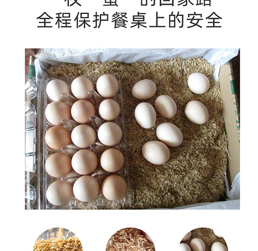 【特卖】买一送一实发40枚正宗农家散养土鸡蛋新鲜柴鸡蛋草鸡蛋笨鸡蛋