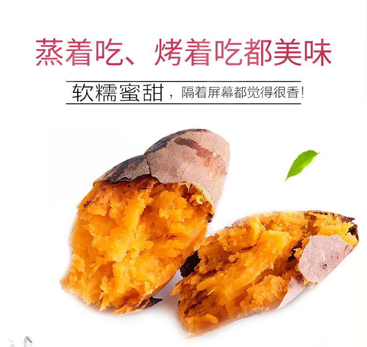 现挖广西巴马小蜜薯 西瓜红心红薯5/10斤 新鲜沙地瓜板栗番薯山芋